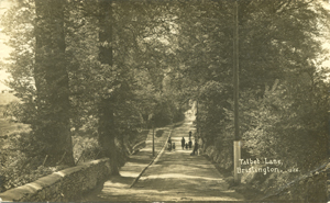 Talbot Road c.1917